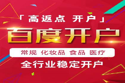 企业SEM服务实战案例解析